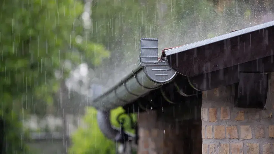 Záplava na zahradě