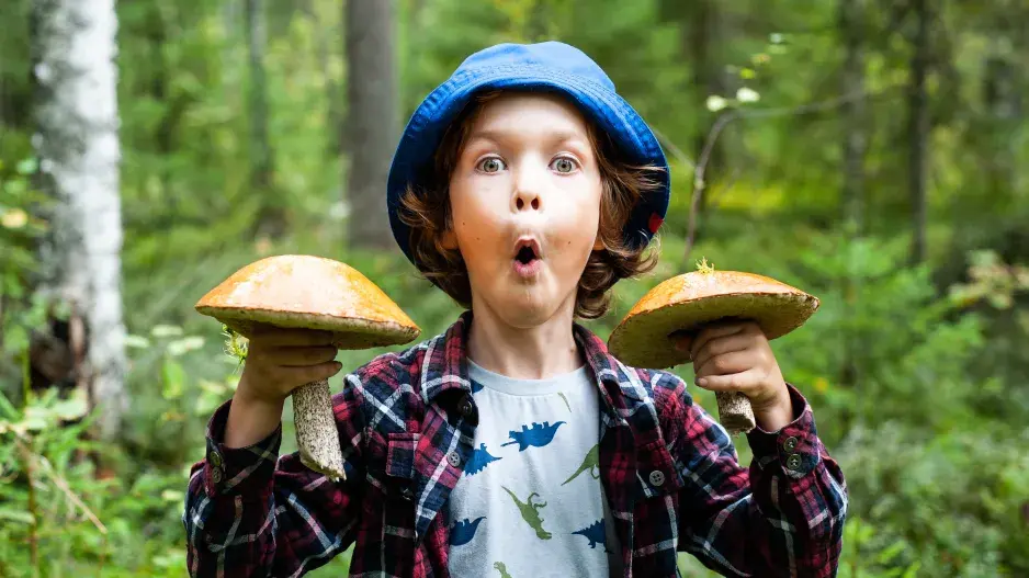 Houbaření máme v krvi