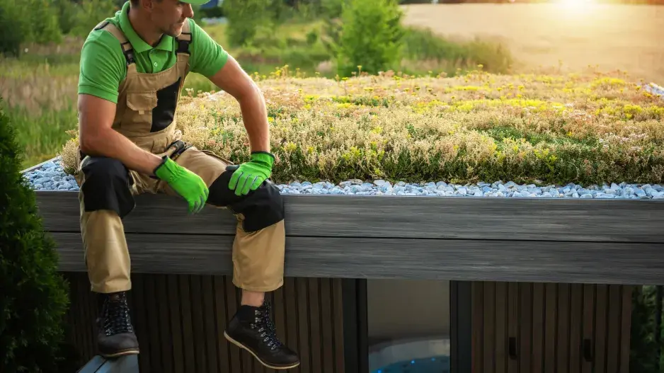 ozeleněná střecha