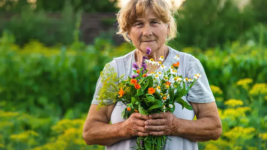 Lidové názvy bylin