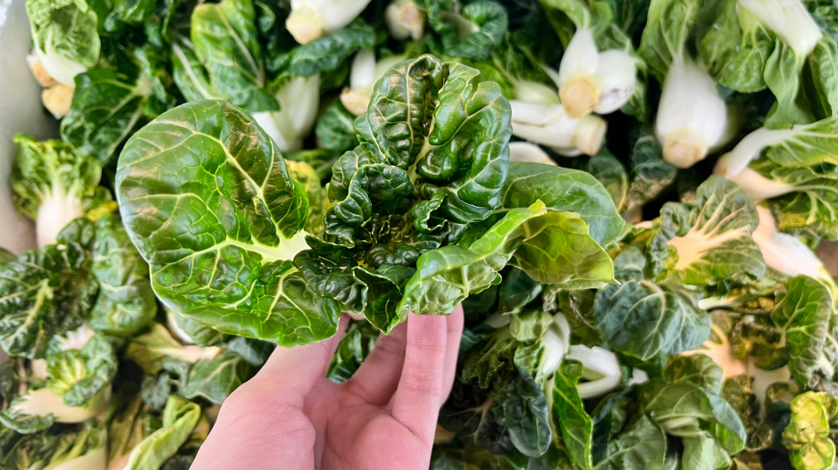 Tatsoi