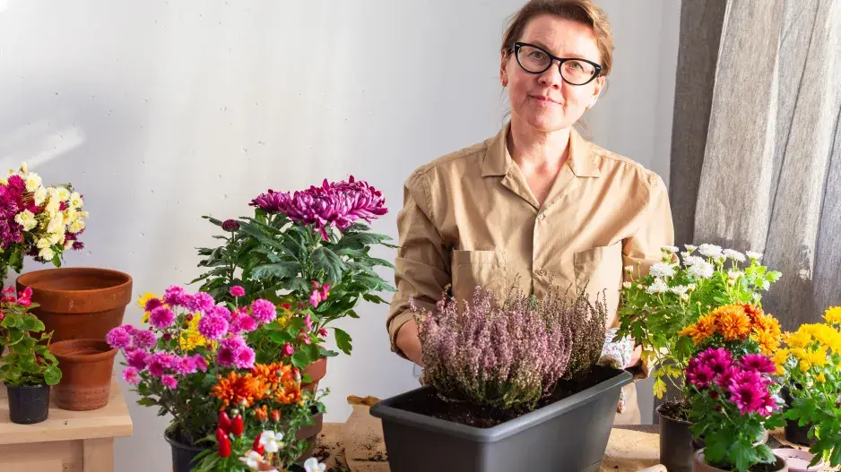 Je čas pro výsadbu podzimních rostlin