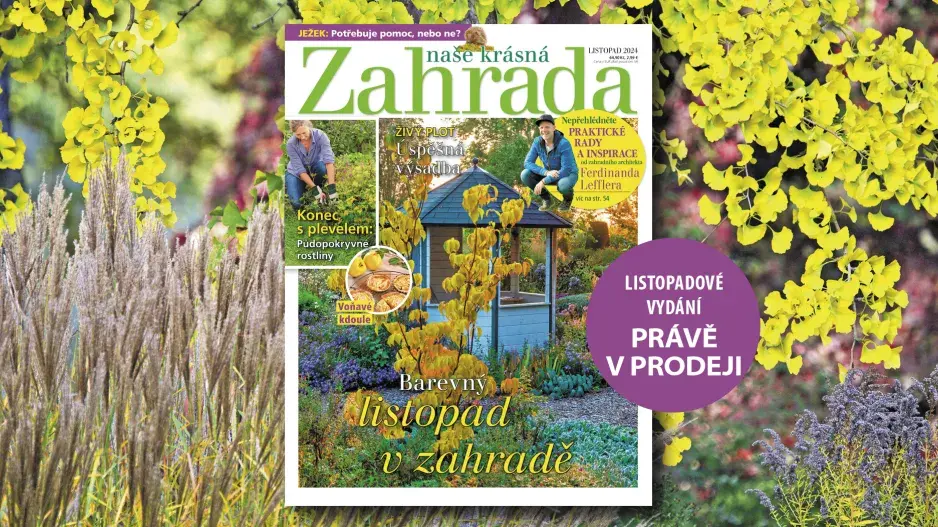 Naše krásná zahrada 11/2024