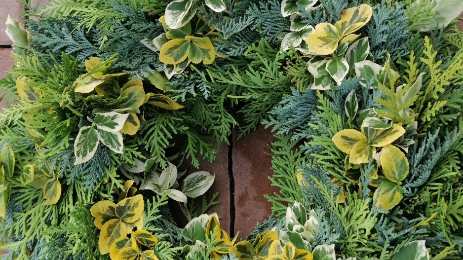 detail ozelenění korpusu 