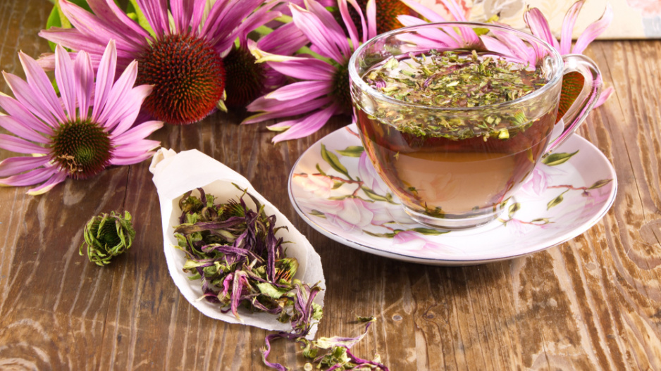 echinacea