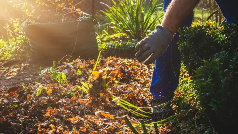 Podzimní péče o záhony
