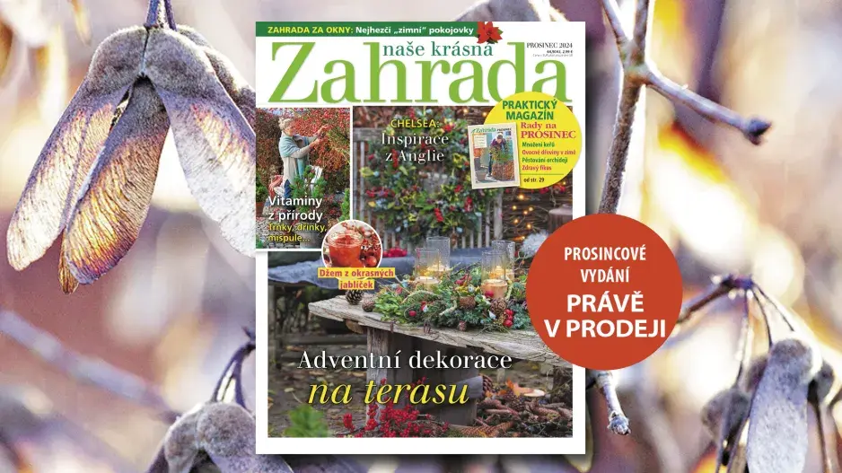 Naše krásná zahrada 12/2024