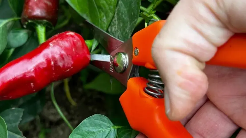 Dárky pro zahrádkáře