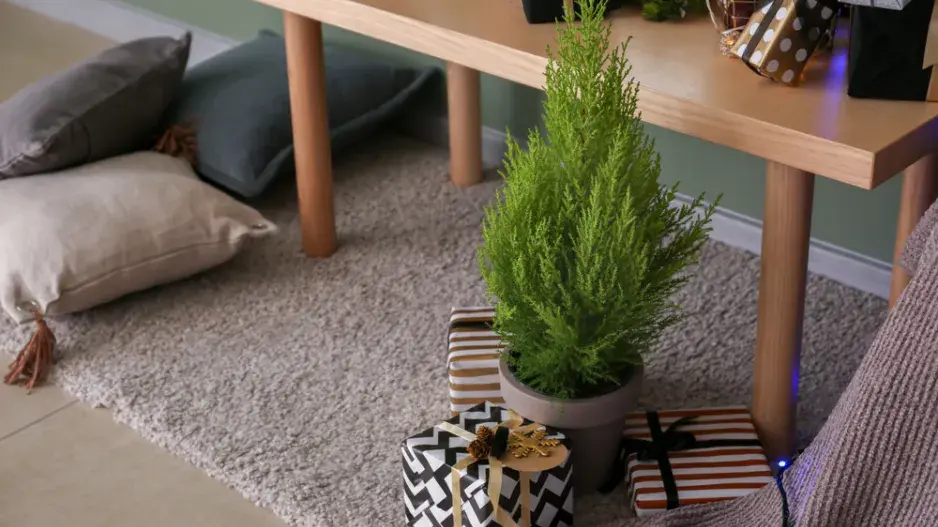 zelené Vánoce zelené Vánoce