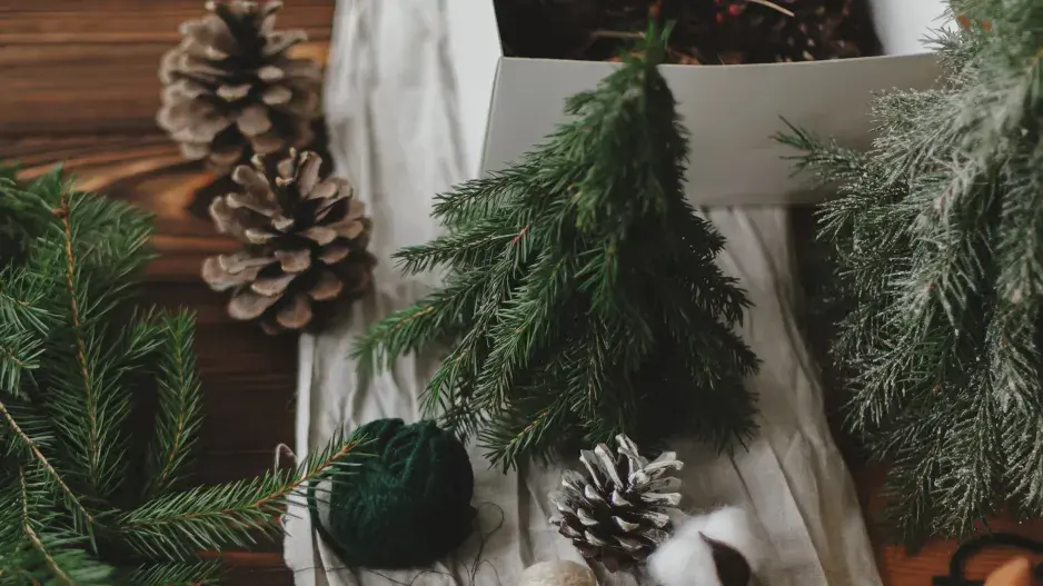 zelené Vánoce zelené Vánoce