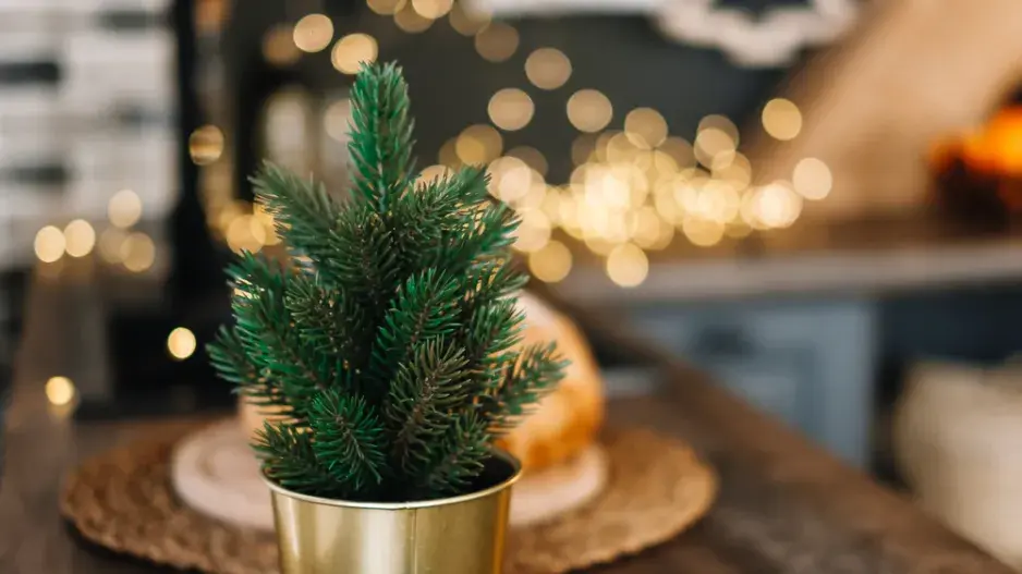 zelené Vánoce zelené Vánoce