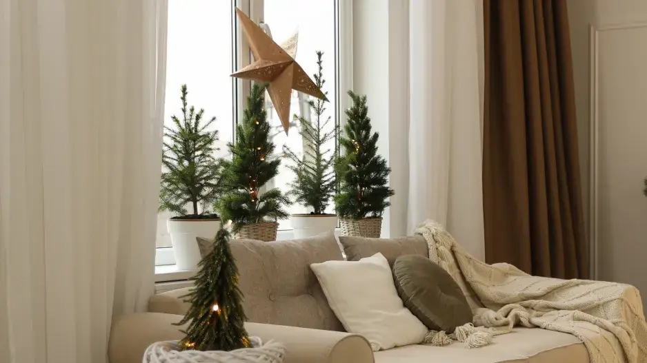 zelené Vánoce zelené Vánoce