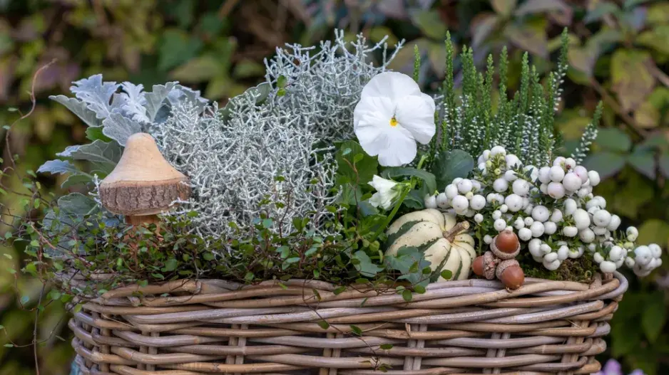 Podzimní a zimní truhlíky.