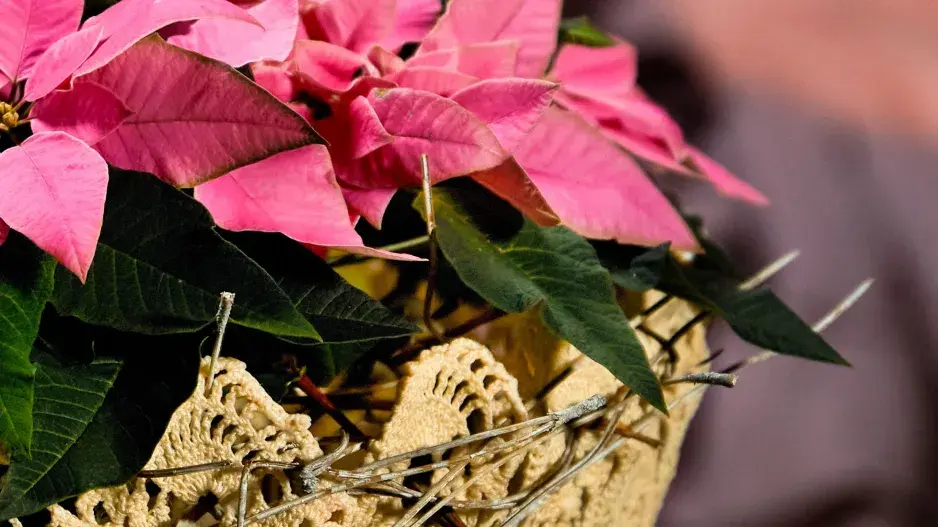 DIY Vánoce DIY Vánoce