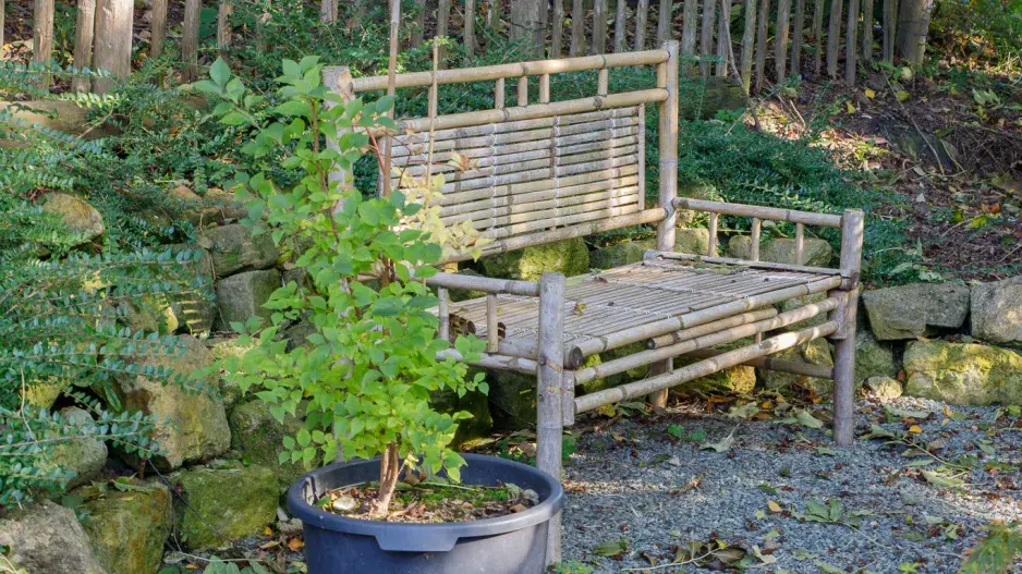 Kout klidu a pohody v japonské zahradě 