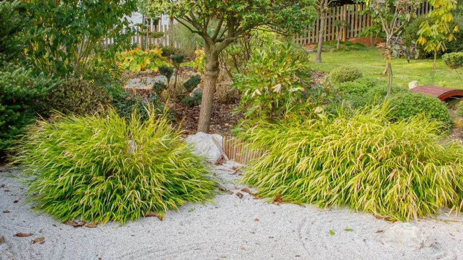 Část zahrady nazvaná Přes vodu