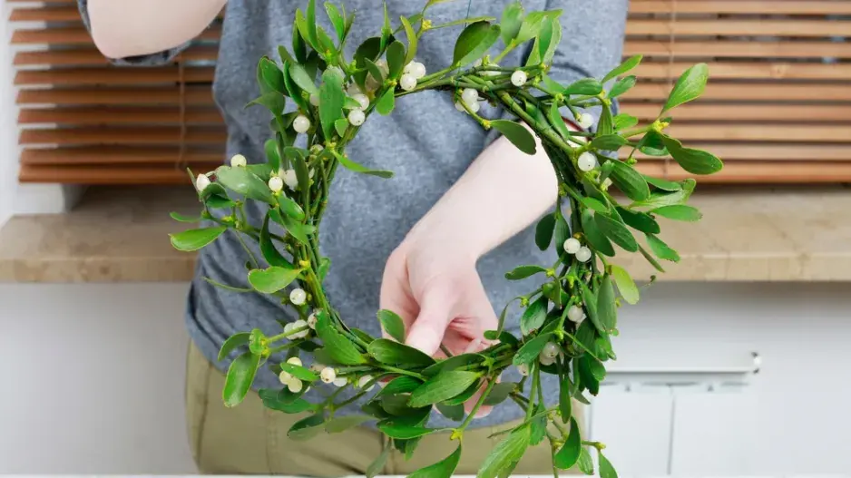 jmelí DIY jmelí DIY