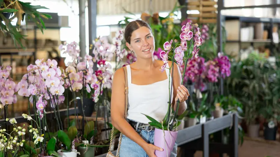 orchideje