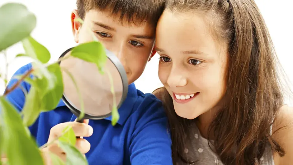 Kvíz z přírodopisu