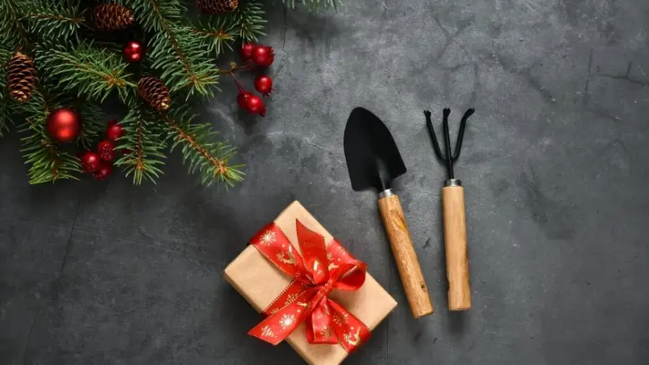 Tipy na vánoční dárky pro zahrádkáře