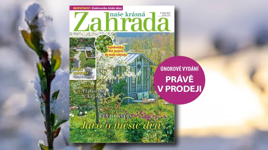 Naše krásná zahrada 2/2025