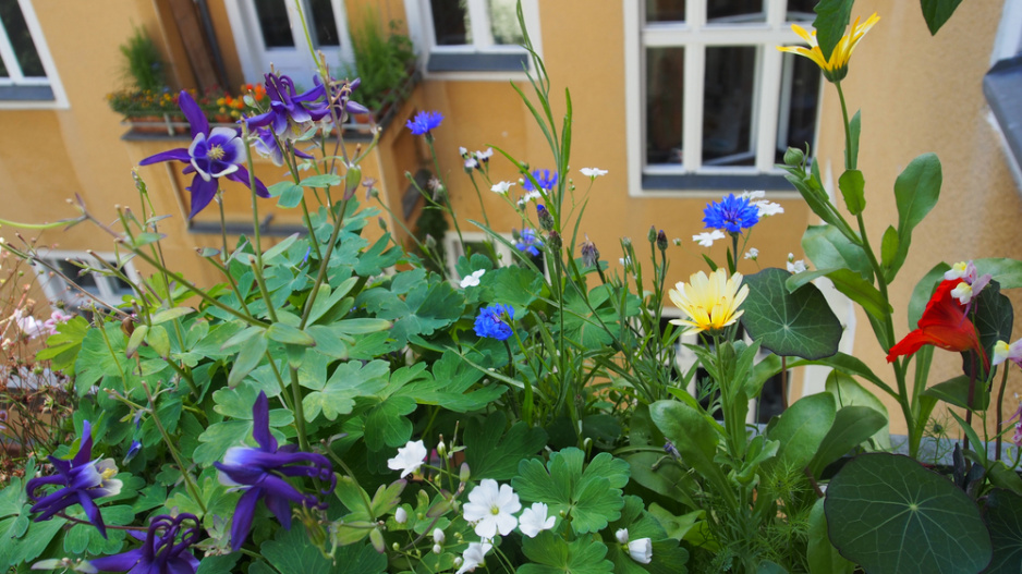 balkon louka