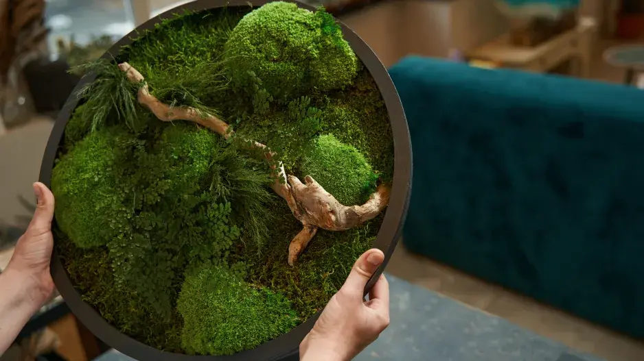 Mechové zahrádky v nádobě