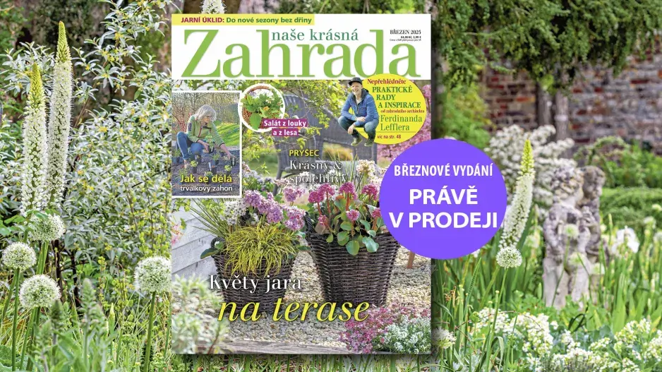 Naše krásná zahrada 3/2025
