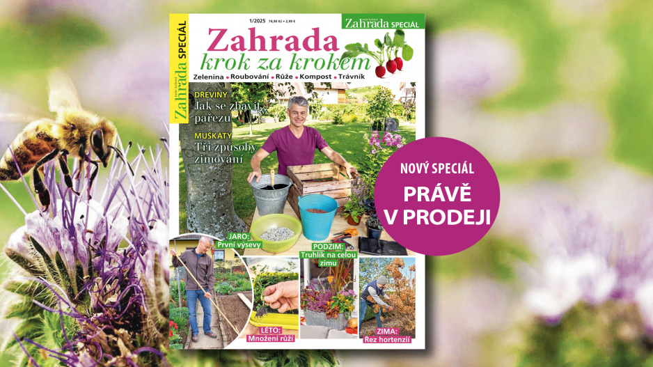 Speciál Zahrada krok za krokem