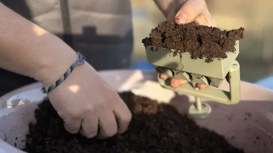 Kostkovač na zeminu