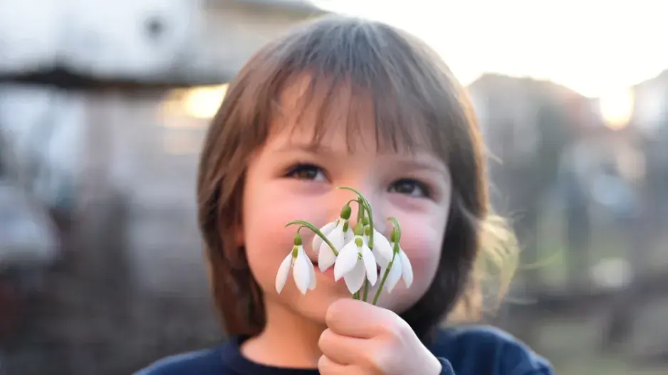 sněženky sněženky