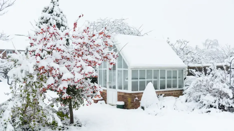 sníh na zahradě