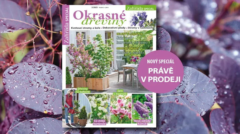 Naše krásná zahrada Okrasné dřeviny