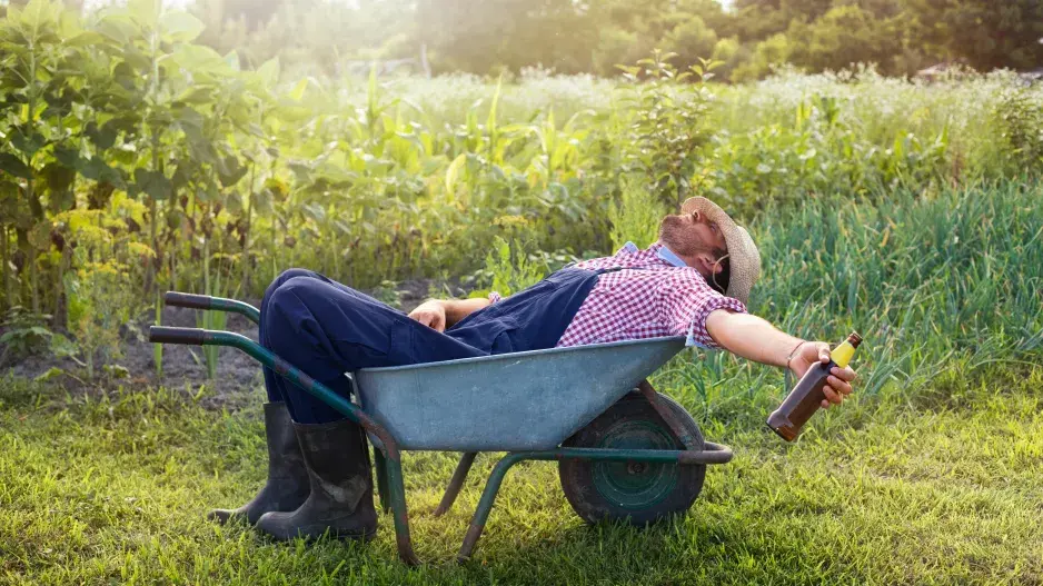 Příprava zahradní sezóny