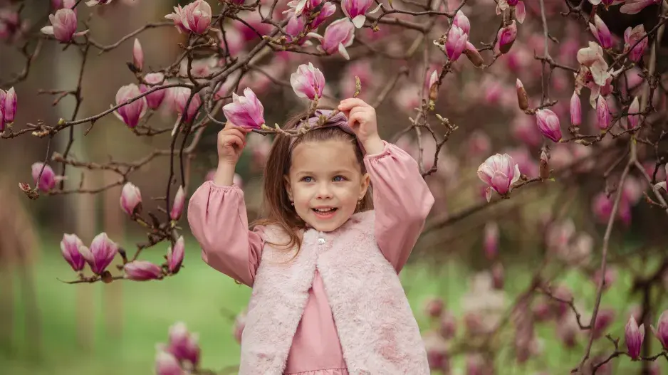 Magnolie okouzlí svými obřími květy