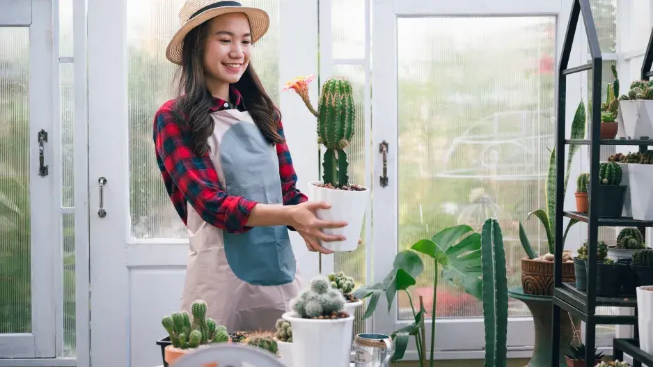 Pěstování kvetoucích kaktusů 