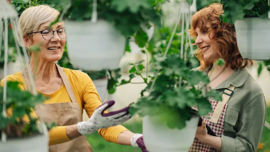 závěsné květináče