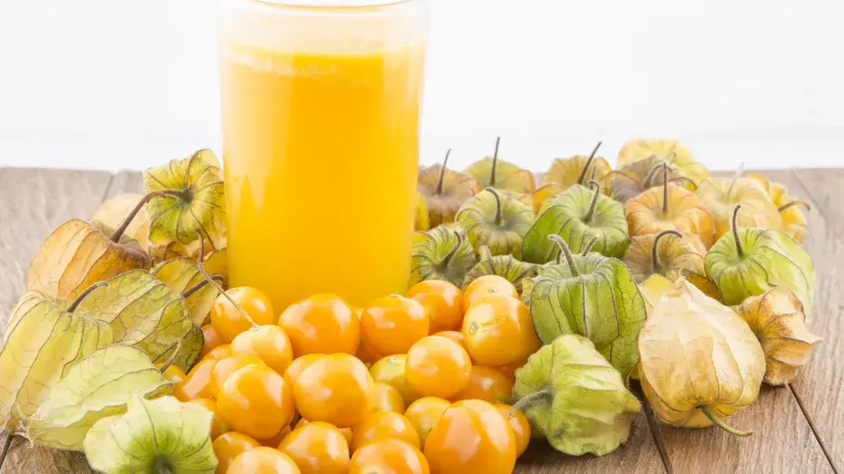 plody mochyně peruánské