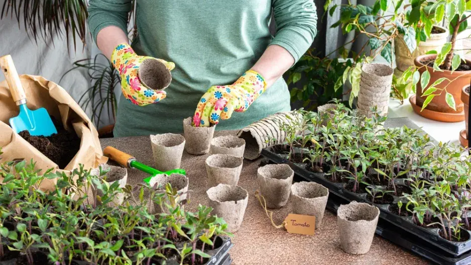 pikýrování pikýrování