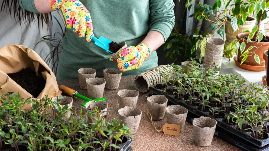 pikýrování pikýrování