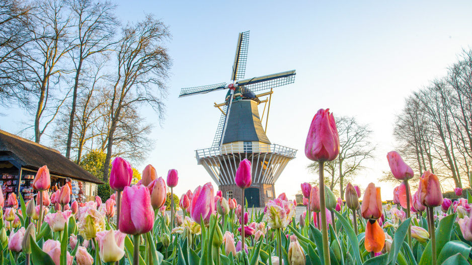 Největší zahrada Evropy park Keukenhof