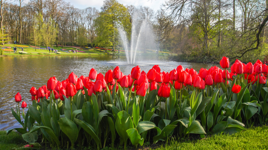 Největší zahrada Evropy park Keukenhof