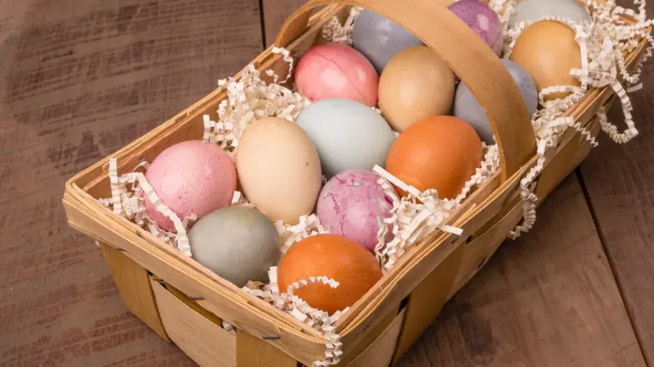vajíčka netradiční vajíčka netradiční