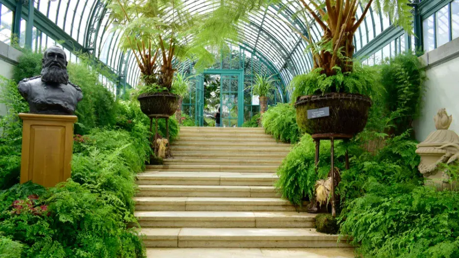 Královské skleníky Královské skleníky