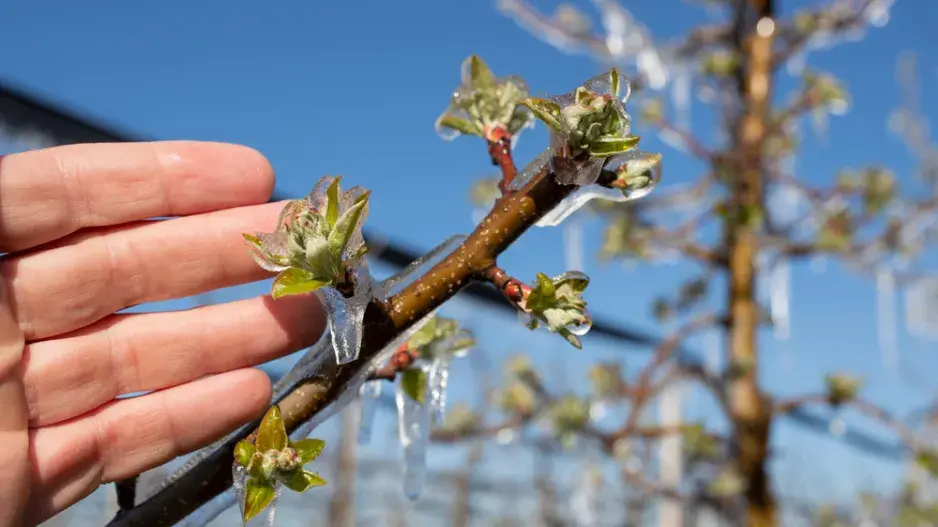 mráz duben mráz duben