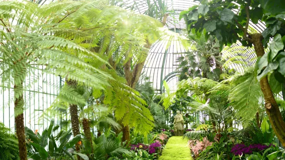 Královské skleníky