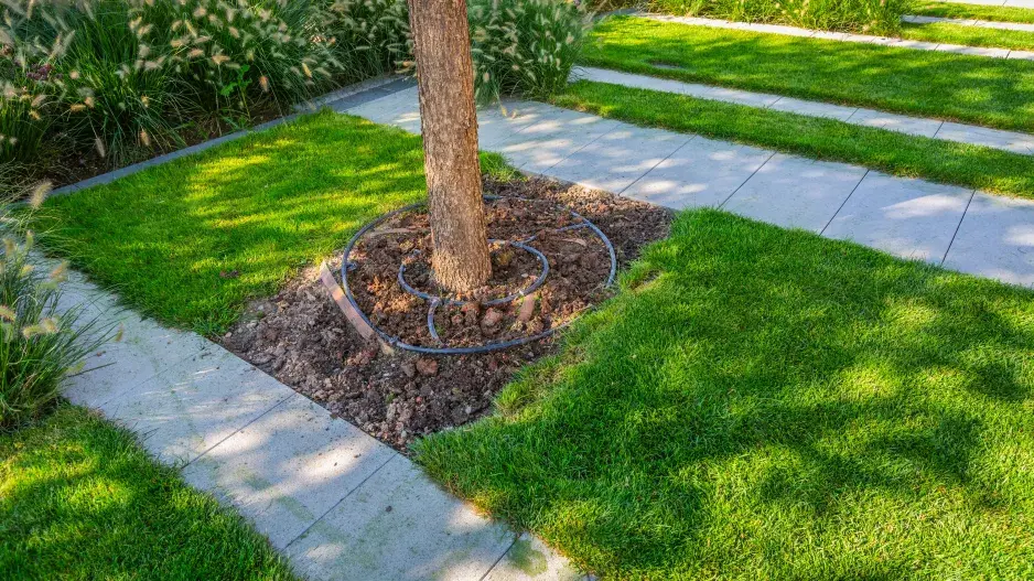 kapková závlaha  kapková závlaha