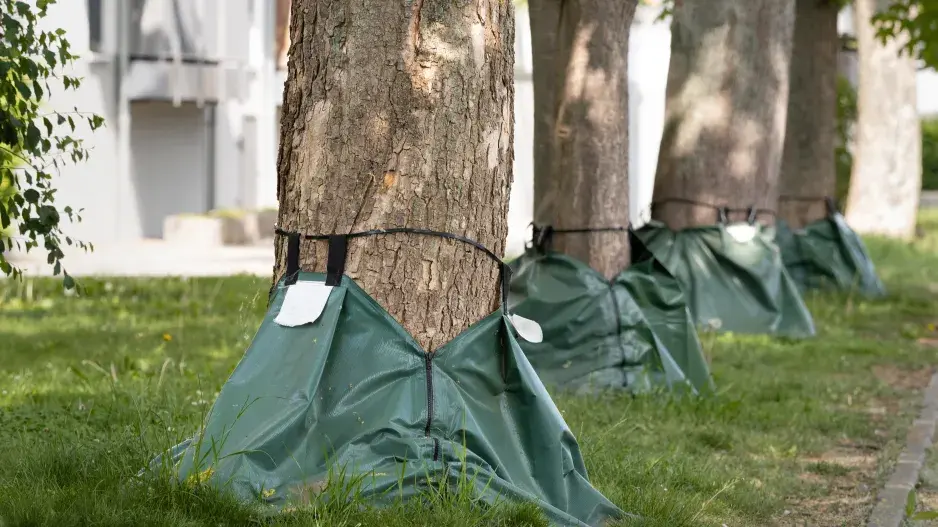 zavlažovací vaky  zavlažovací vaky