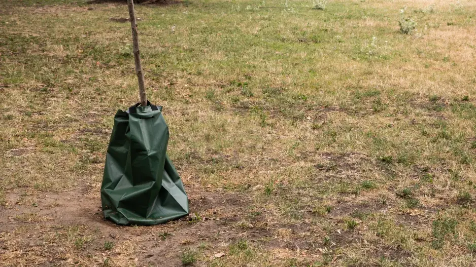 zavlažovací vak zavlažovací vak