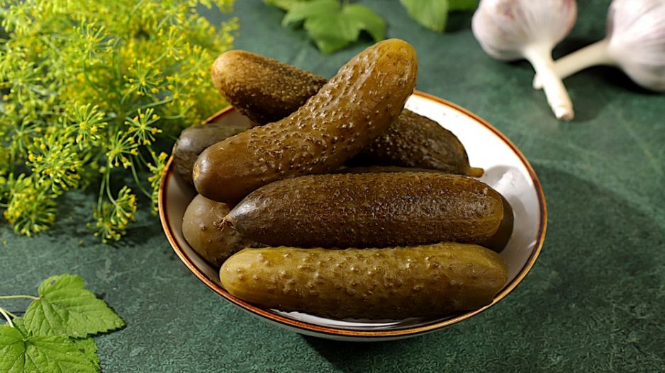 Kopr vonný (Anethum graveolens) 